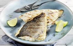 Goudbrasemfilets met vel, natuur