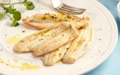 Noordzeetongfilets, natuur