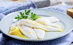 Pladijsfilets, natuur
