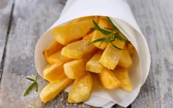 Vlaamse frieten