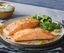 Zalmfilets, natuur